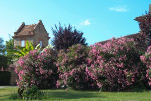 gite les bourdoncles et laurier rose et pigeonnier