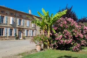 gite les bourdoncles bananier et laurier rose