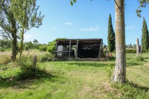 parc a chevaux abris pour les nourrir