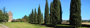 bourdoncles allée de cyprès entrée des gites